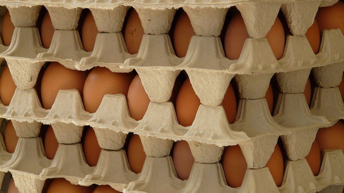 Wiele jaj w polskich sklepach nie przeszło kontroli