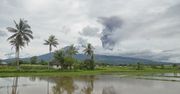 Erupcja wulkanu na wyspie Flores. Trwa ewakuacja