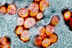 Nowy wariant koronawirusa odkryty we Francji. "Budzi niepokój"