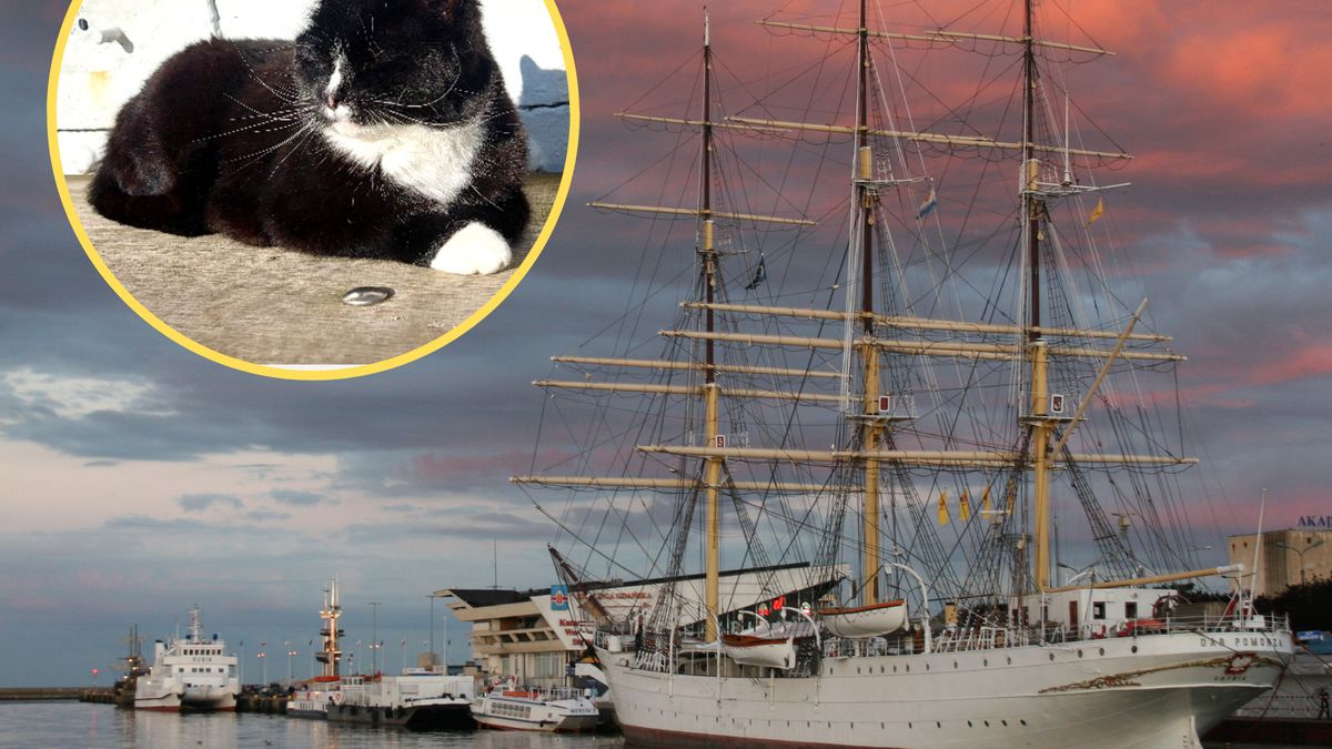 Na pokładzie "Daru Pomorza" Fela mieszka już od 14 lat