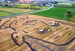 Dzieło sztuki na polu. Największy na świecie portret Orwella