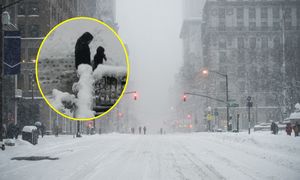 Cudem uniknęli tragedii. Do sieci trafiło przerażające wideo