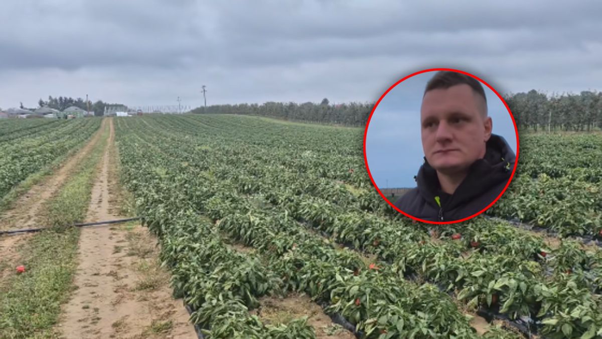 Maciej Siekiera rozdał 60 ton papryki.