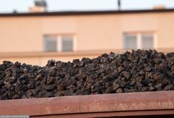 Nowa linia opału od węglowego giganta. Tyle kosztuje tona