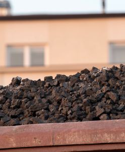 Nowa linia opału od węglowego giganta. Tyle kosztuje tona