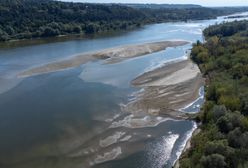 "25 centymetrów" w Warszawie. Padł rekord