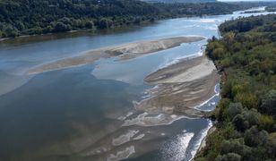 "25 centymetrów" w Warszawie. Padł rekord