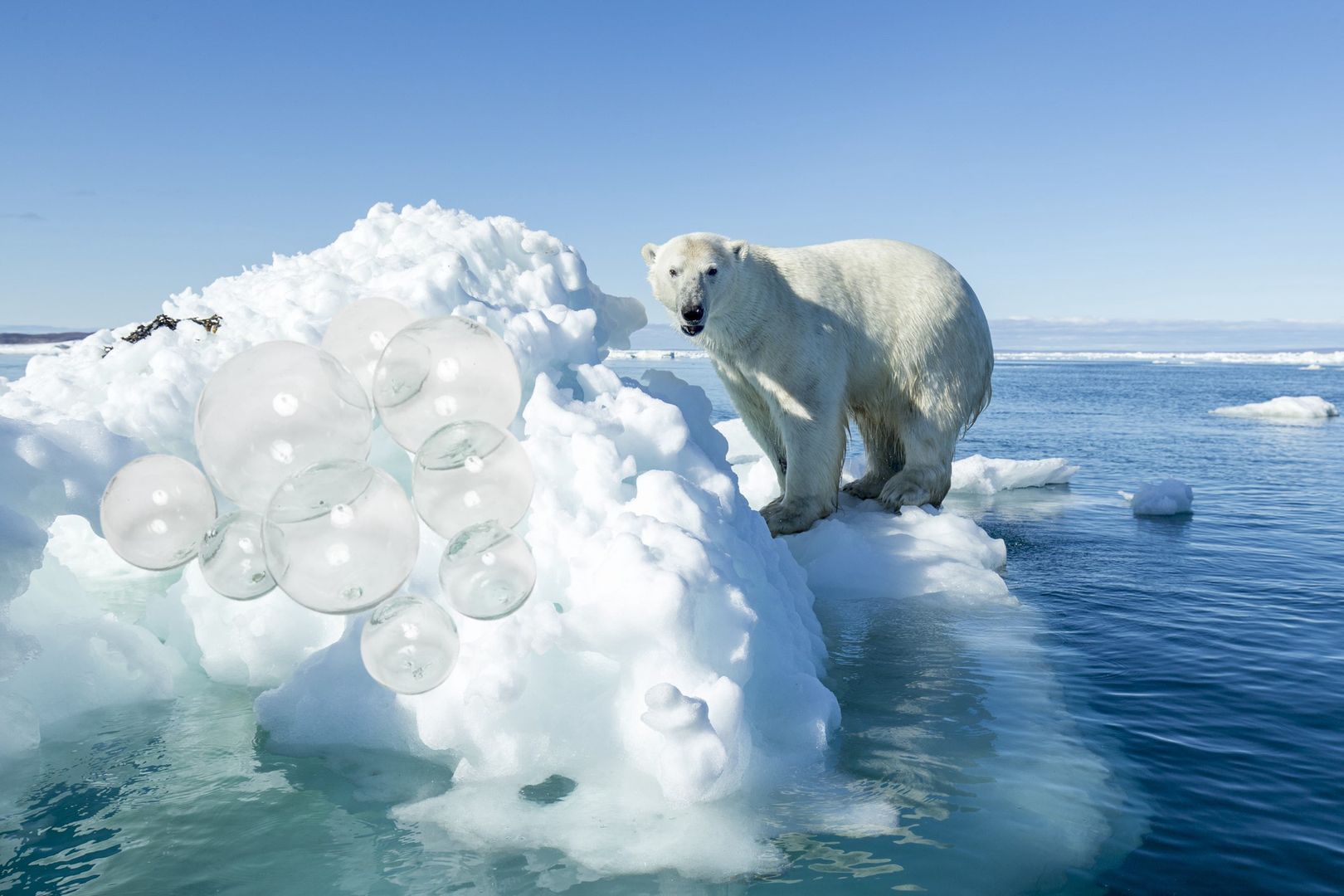 Pomyłka naukowców. Szklane kulki w Arktyce