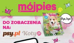 „Mój Pies (i Kot)” po 31 latach znika z rynku