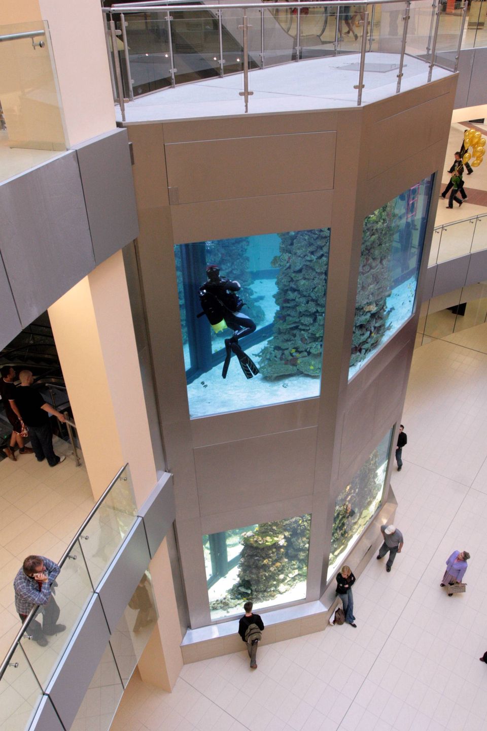 Rekinarium w Arkadach Wrocławskich, 2007 r. 