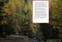 Kontrowersyjne głosowanie w PE i spór o polskie lasy. "To manipulacja PiS"