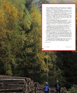 Kontrowersyjne głosowanie w PE i spór o polskie lasy. "To manipulacja PiS"