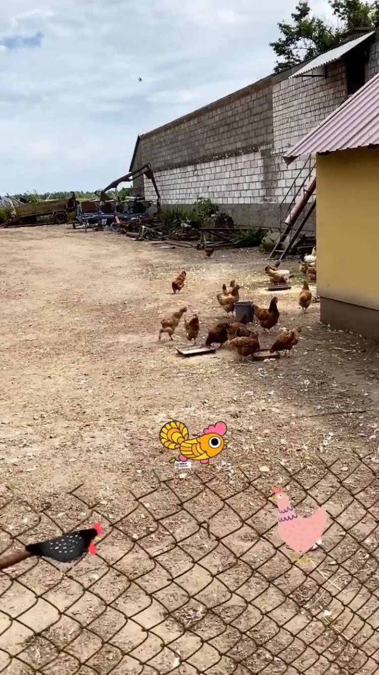 Klaudia El Dursi zachwyca się polską wsią