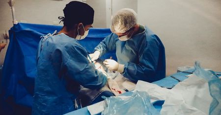 Przywracał psy do życia. Chciał też wskrzesić ludzi