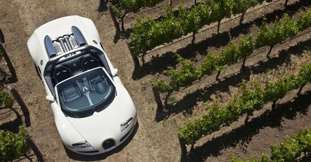 Bugatti Veyron 16.4 Grand Sport - galeria dnia