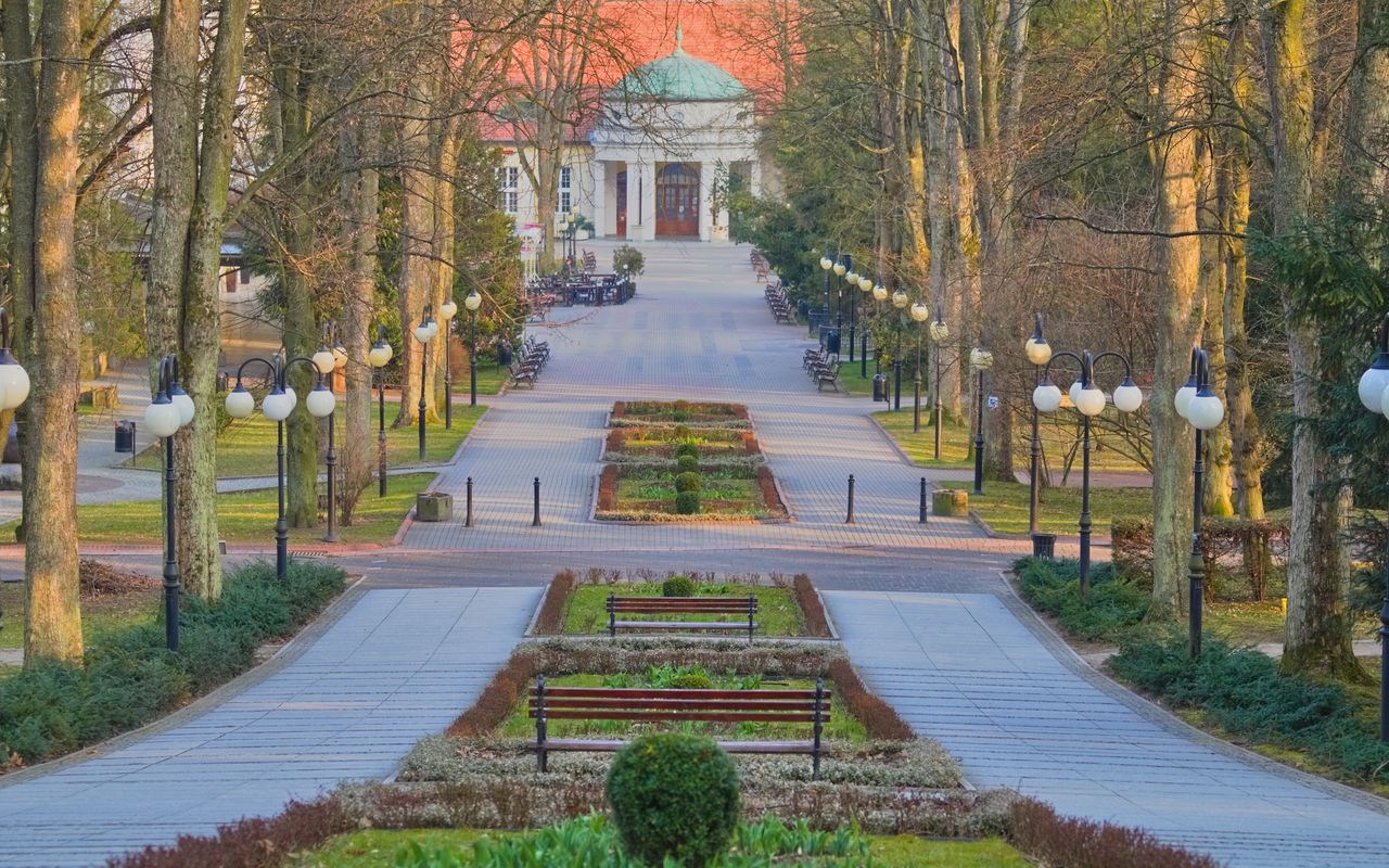 Główna aleja w parku centralnym przed remontem