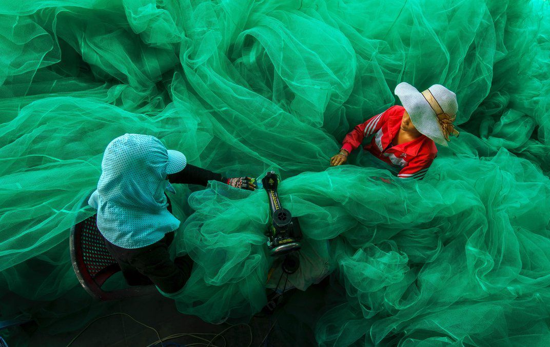 Zdjęcia finalistów Smithsonian Photo Contest zachwycają pięknem i różnorodnością życia 10
