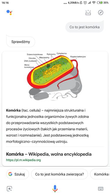 Asystent przeczyta na głos pierwsze zdanie definicji