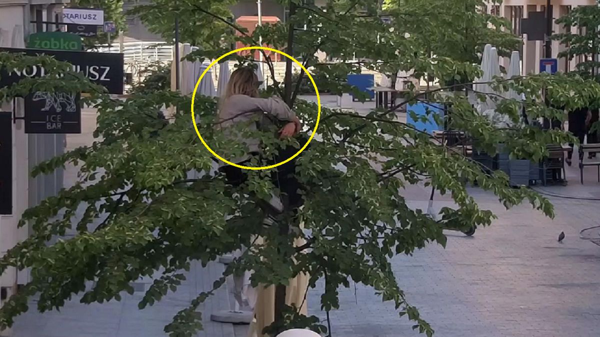 Kobieta weszła na drzewo w centrum Poznania.