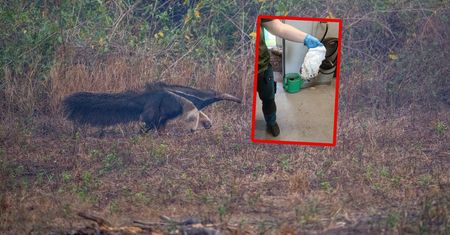 Taki widok w Poznaniu. Pokazali zdjęcie. I się zaczęło