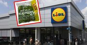 Pilny komunikat Lidla. W popularnym produkcie wykryto Salmonellę