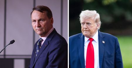 "To nie była pomyłka". Sikorski odpowiedział Trumpowi