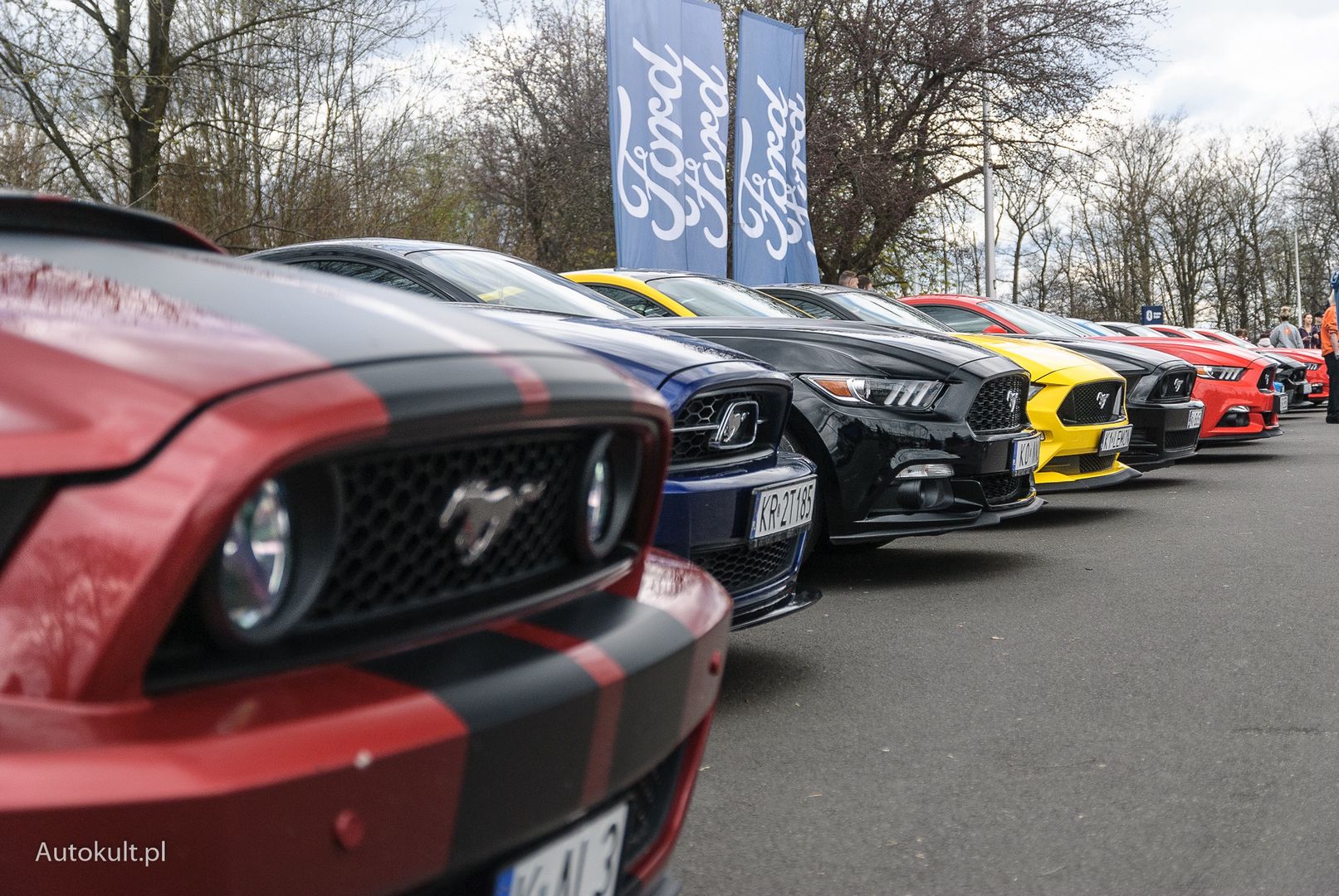 XV Ogólnopolski Zlot Mustangów