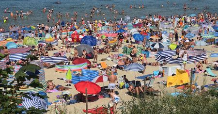 Apogeum sezonu na Mierzei Wiślanej. Tak gęsto od ludzi, że końca nie widać