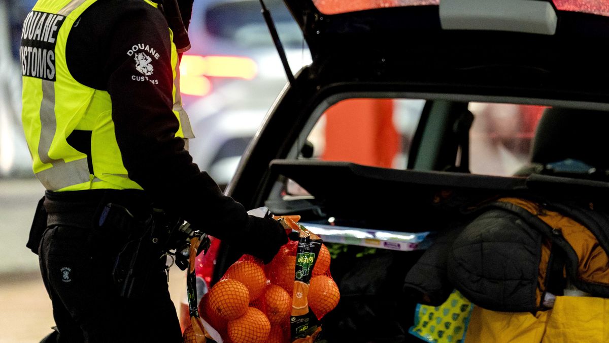 brexit wielka brytania irlandia brak towarów kontrole celne