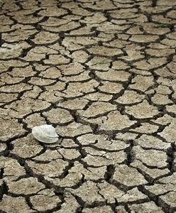 Najgorętszy tydzień w dziejach. Naukowcy biją na alarm