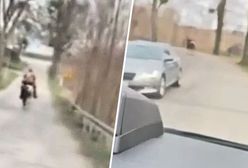 Spadł z konia w trakcie ucieczki. "Galopował w stronę słońca"