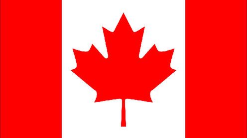 Piraci zakładają własną partię w Kanadzie 1