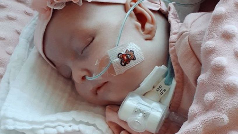 ALMA SPEI Hospicjum dla Dzieci