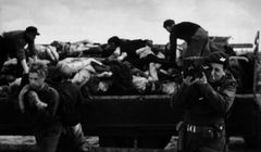 70. rocznica zakończenia II wojny światowej w TVP Historia