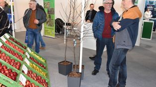 Samborzec: 34. Sandomierskie Spotkanie Sadownicze startuje już w środę