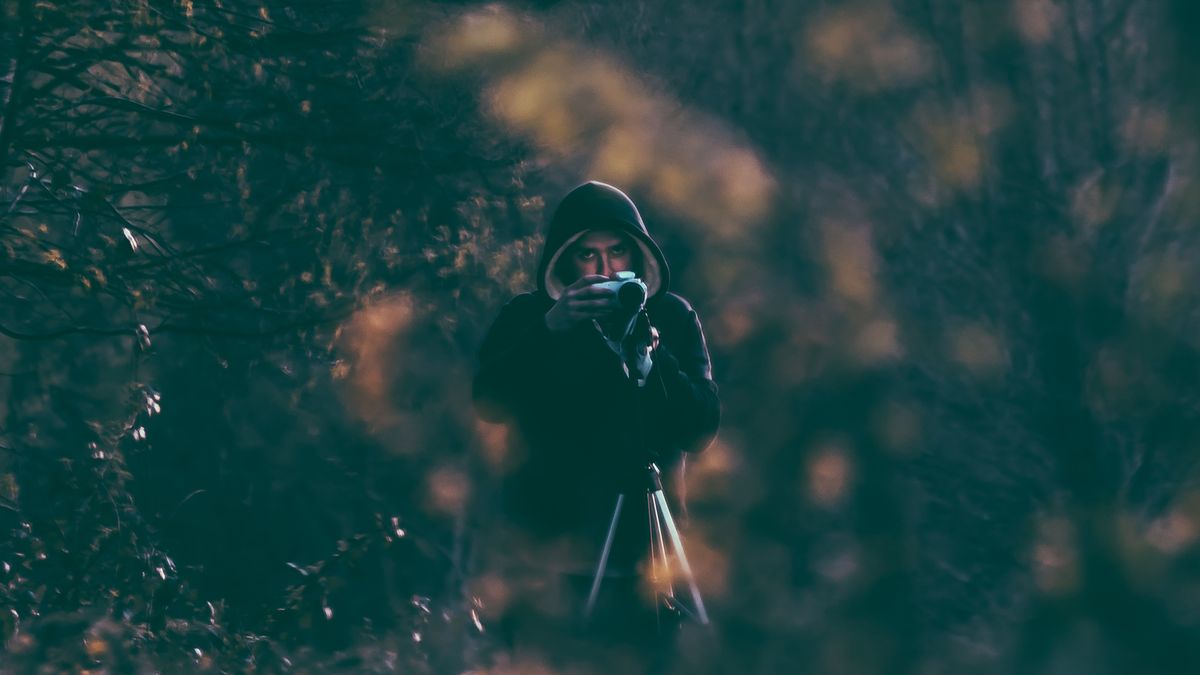 Copyright trolling - kontrowersyjna praktyka zarabiania na zdjęciach 1