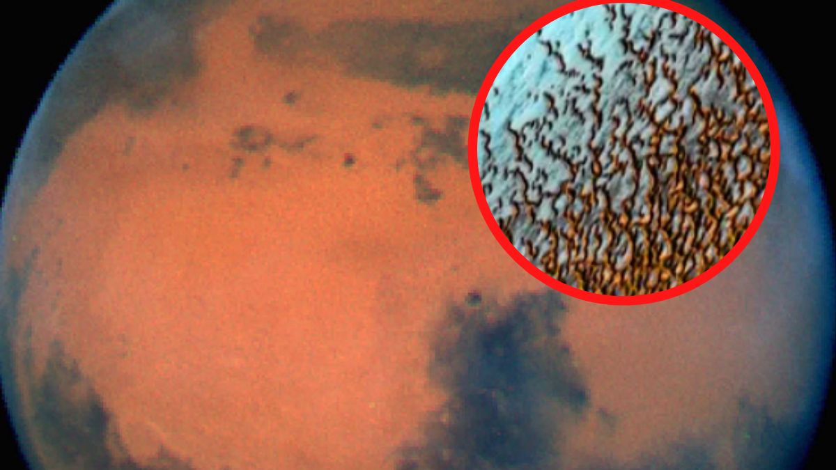 Tajemnicze zdjęcie z Marsa.