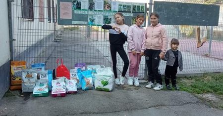 Śląsk. Od początku wiedziały, komu chcą pomóc. Zaczęły więc sprzedawać lemoniadę