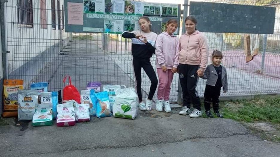 Dzięki funduszom z akcji charytatywnej, dziewczynki kupiły karmę dla schroniska