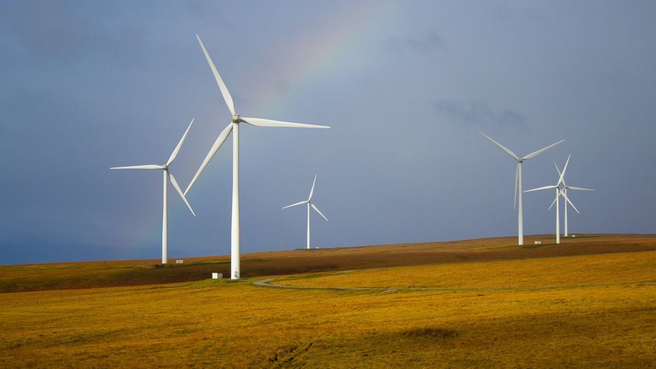Energetyka wiatrowa. Turbiny wiatrowe na horyzoncie