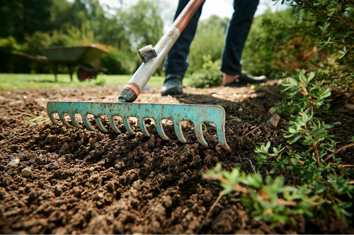 Ogród można uprawiać bez kopania. Metoda "no dig" nie tylko dla leniwych działkowców