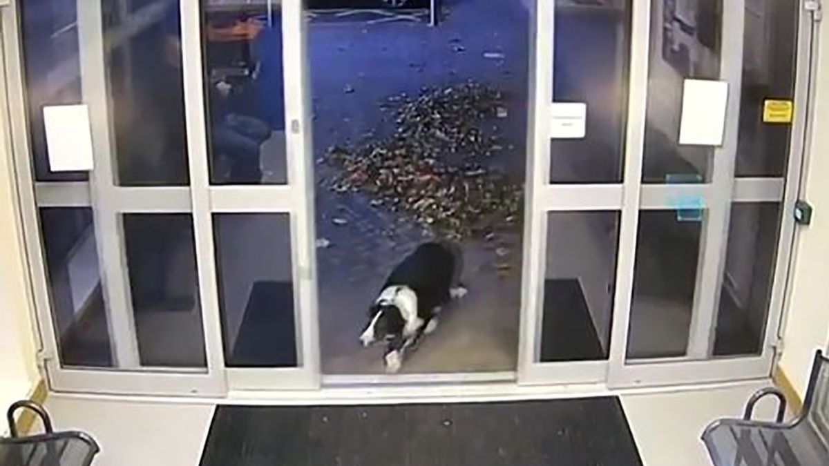 Rosie sama zgłosiła się na posterunek policji