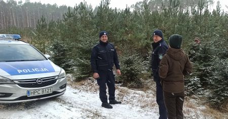 Masz taką choinkę? Kara może wynieść nawet 5 tys. zł