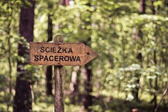 Do parku narodowego tylko z biletem. Nowy pomysł PiS