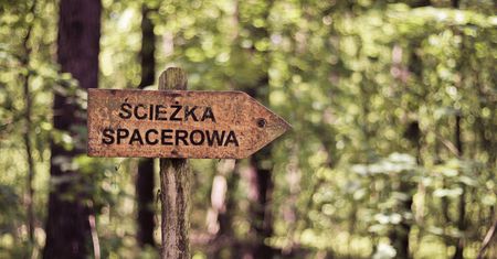 Do parku narodowego tylko z biletem. Nowy pomysł PiS