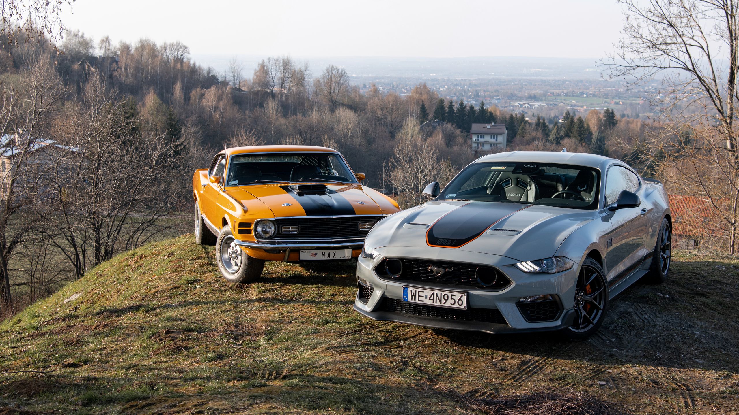 Ford Mustang Mach 1 vs. Mustang Mach 1 428 Cobra Jet