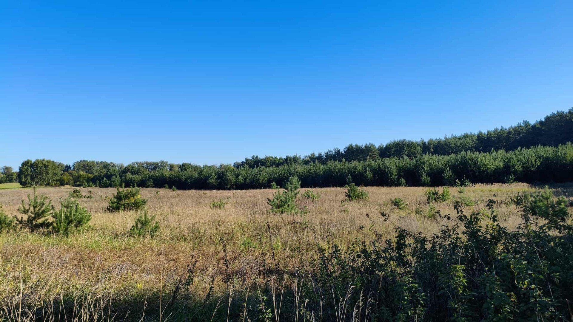 Mieszkańcy Lulkowa są przeciwni budowie Strzelnicy na jednej z gminnych działek
