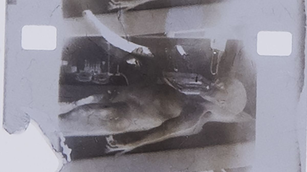 Zdjęcie z rzekomej sekcji zwłok obcego