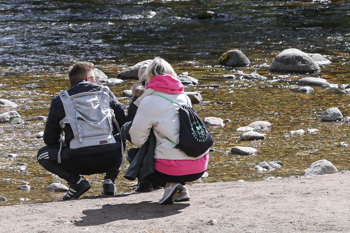 "Prawie umarła". Napiła się wody z potoku w słowackich Tatrach