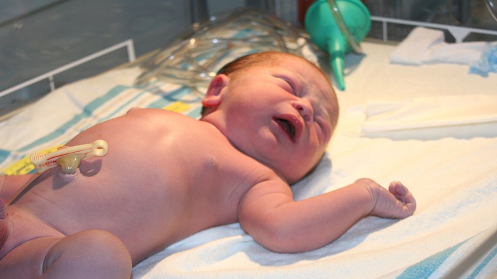 Co to jest pępowina?